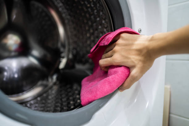 Best Mold Prevention Services  in Mound Bayou, MS