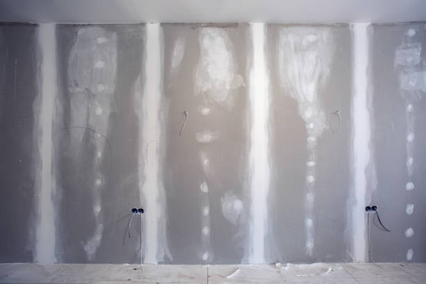 Best Post-Construction Mold Inspection  in Mound Bayou, MS